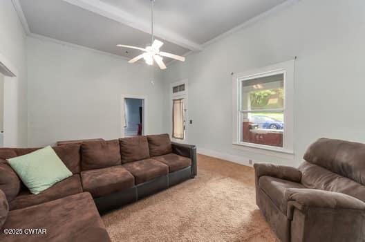 221 Crook Avenue