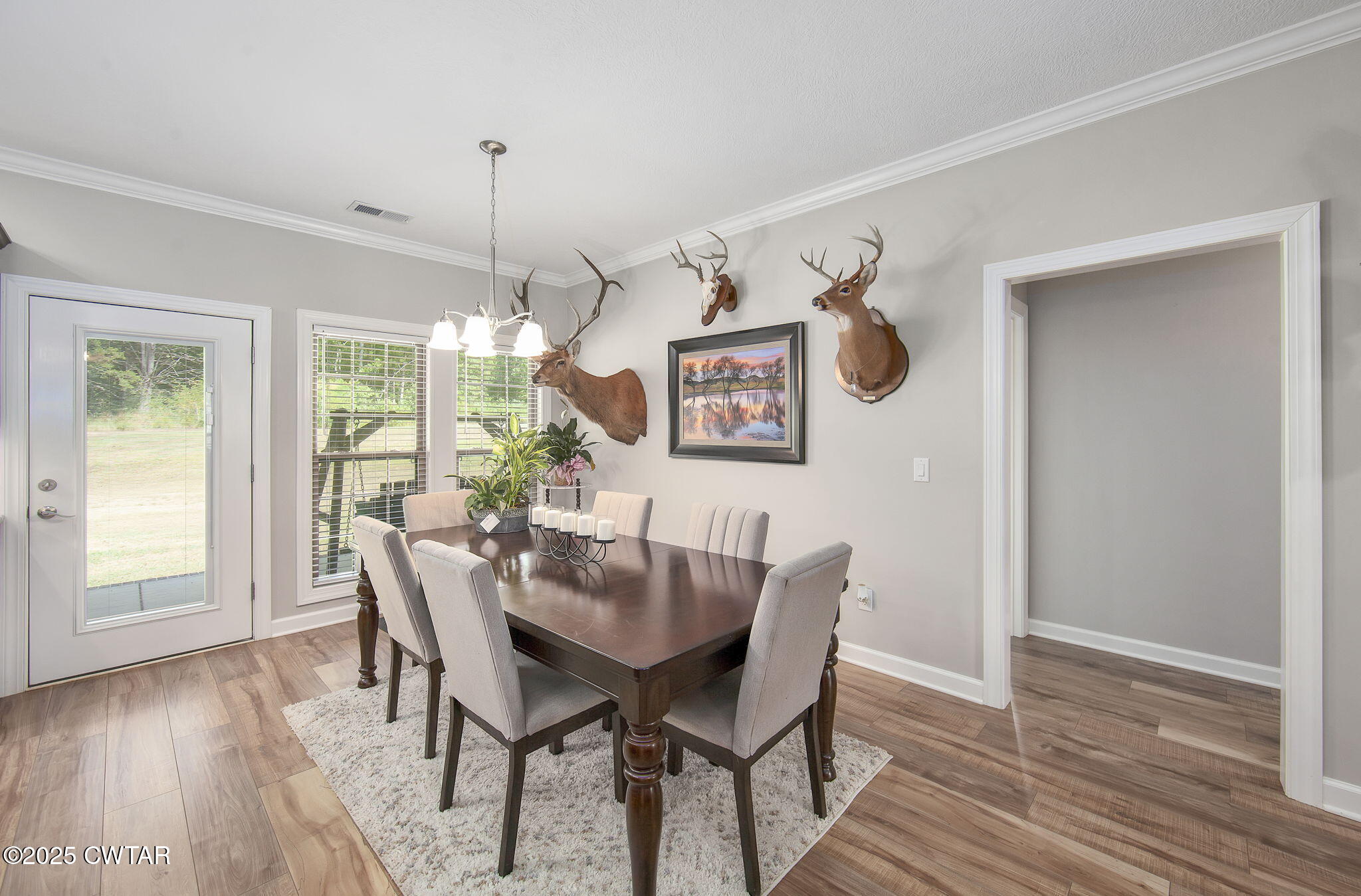 240 Greystone Cv Street