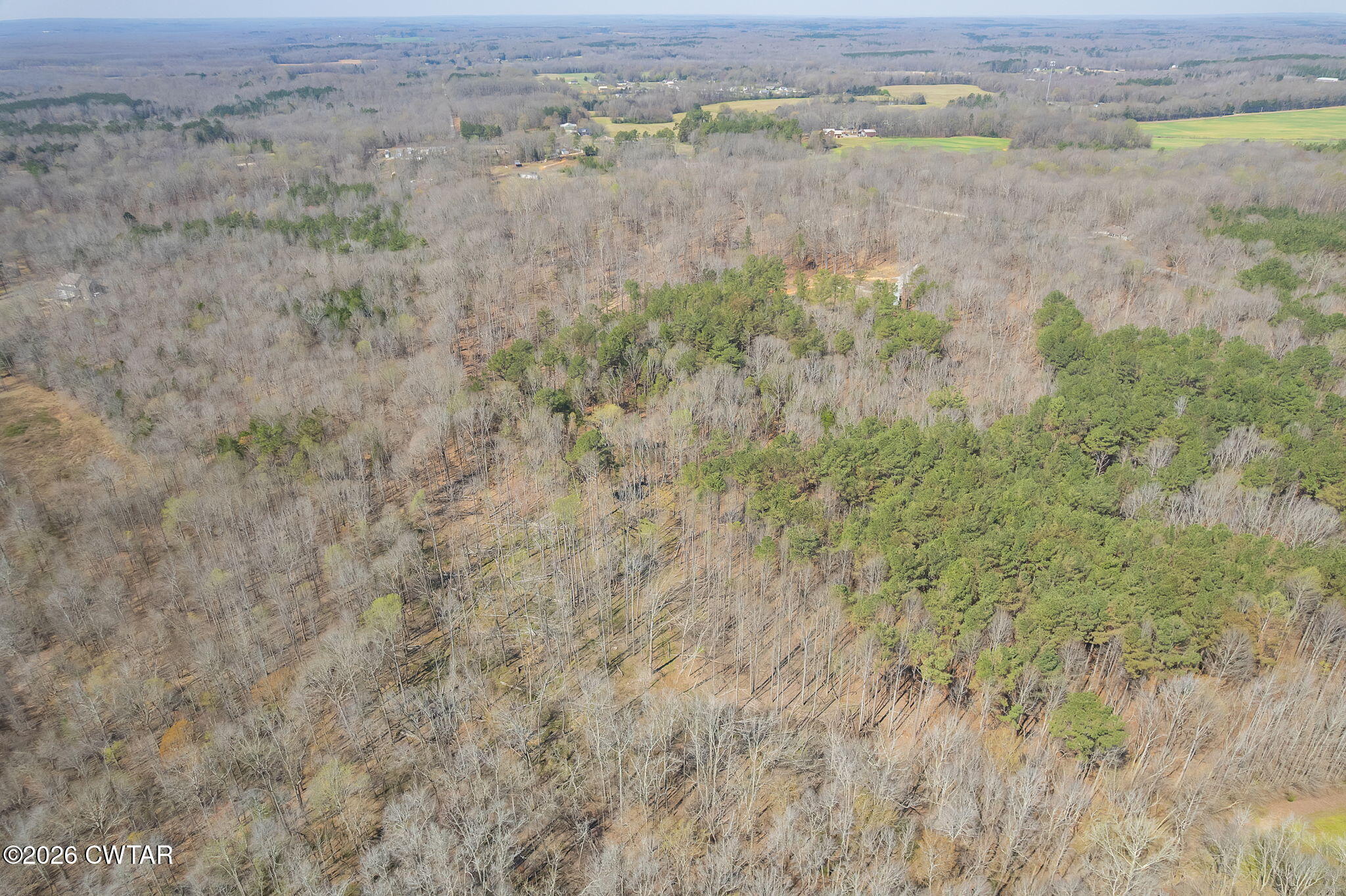 320 Peddy Vestal Loop