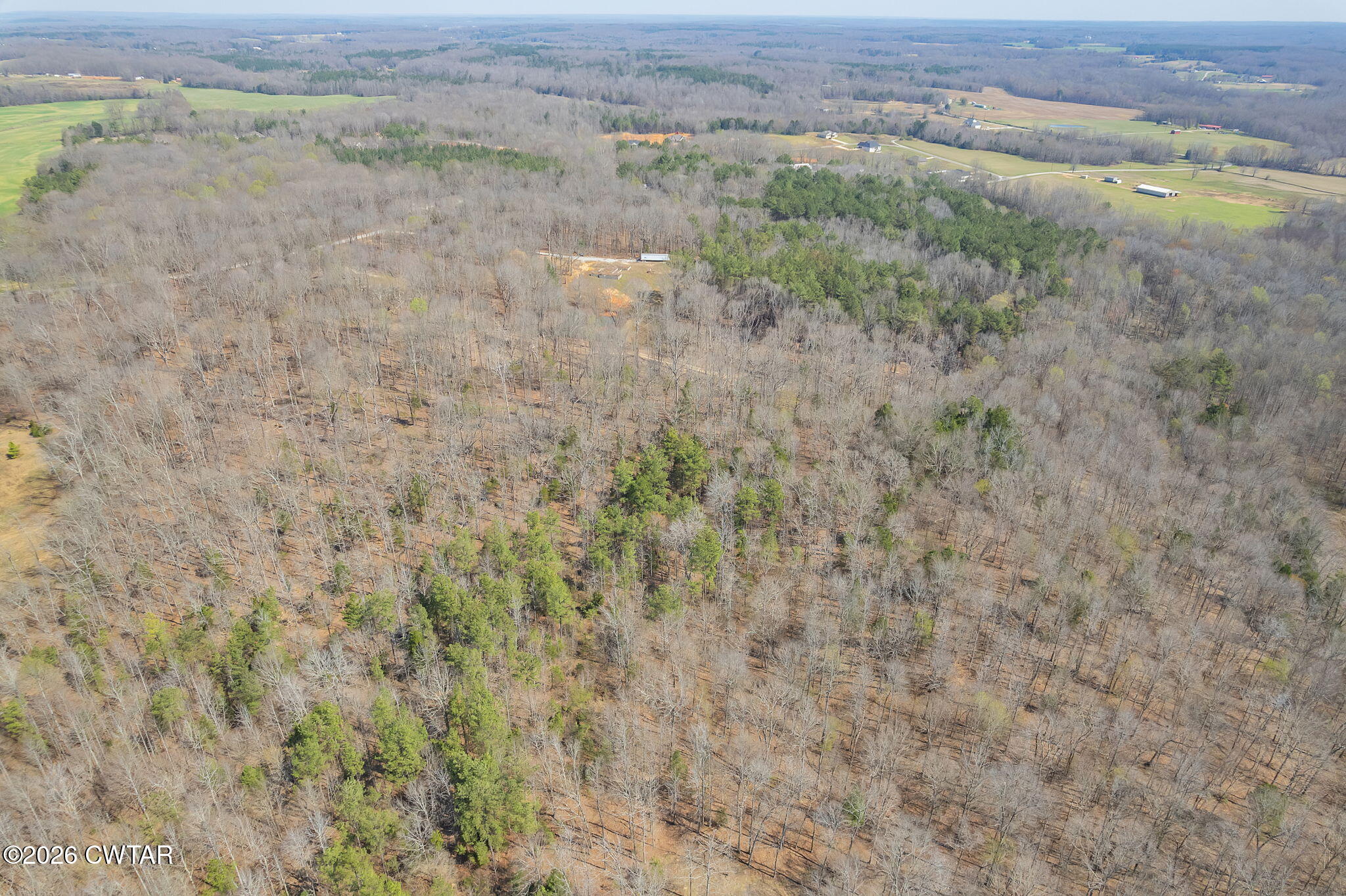 320 Peddy Vestal Loop