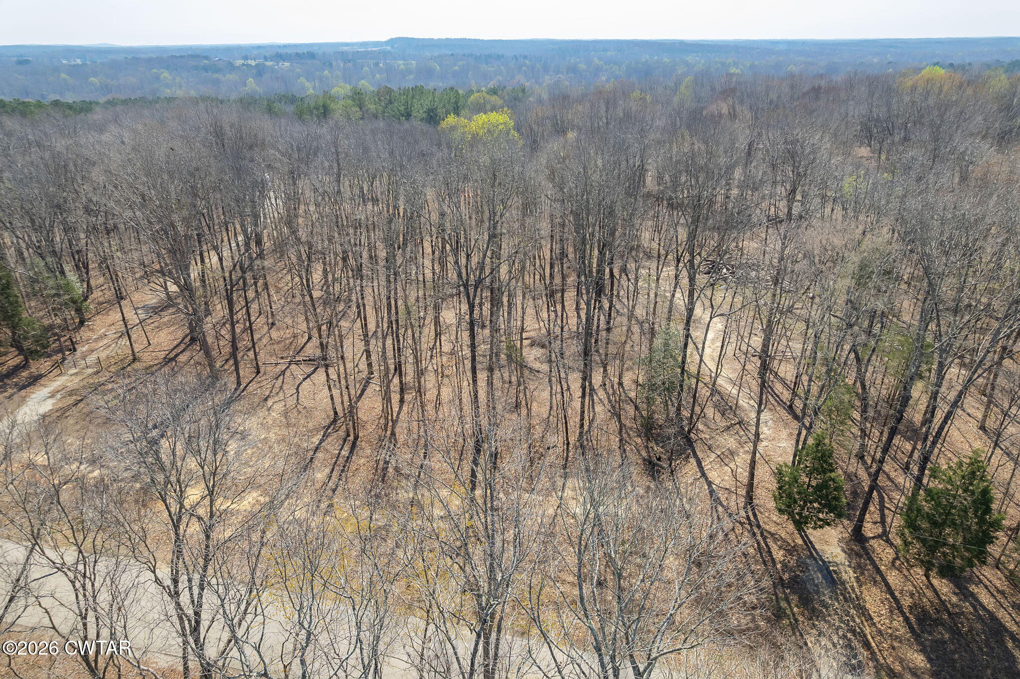 320 Peddy Vestal Loop