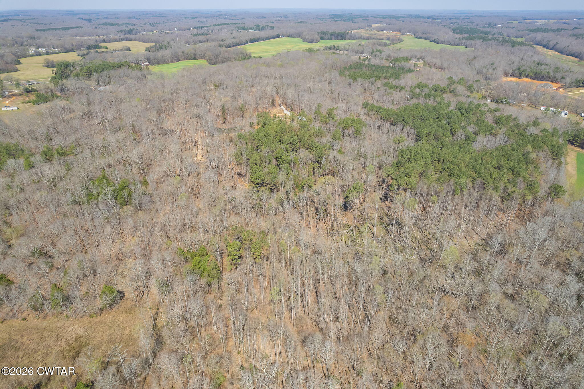 320 Peddy Vestal Loop