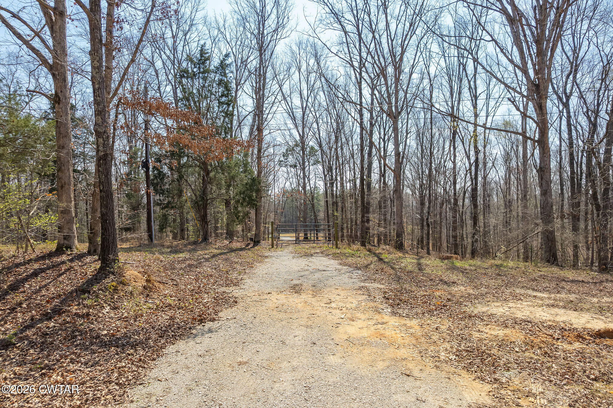 320 Peddy Vestal Loop