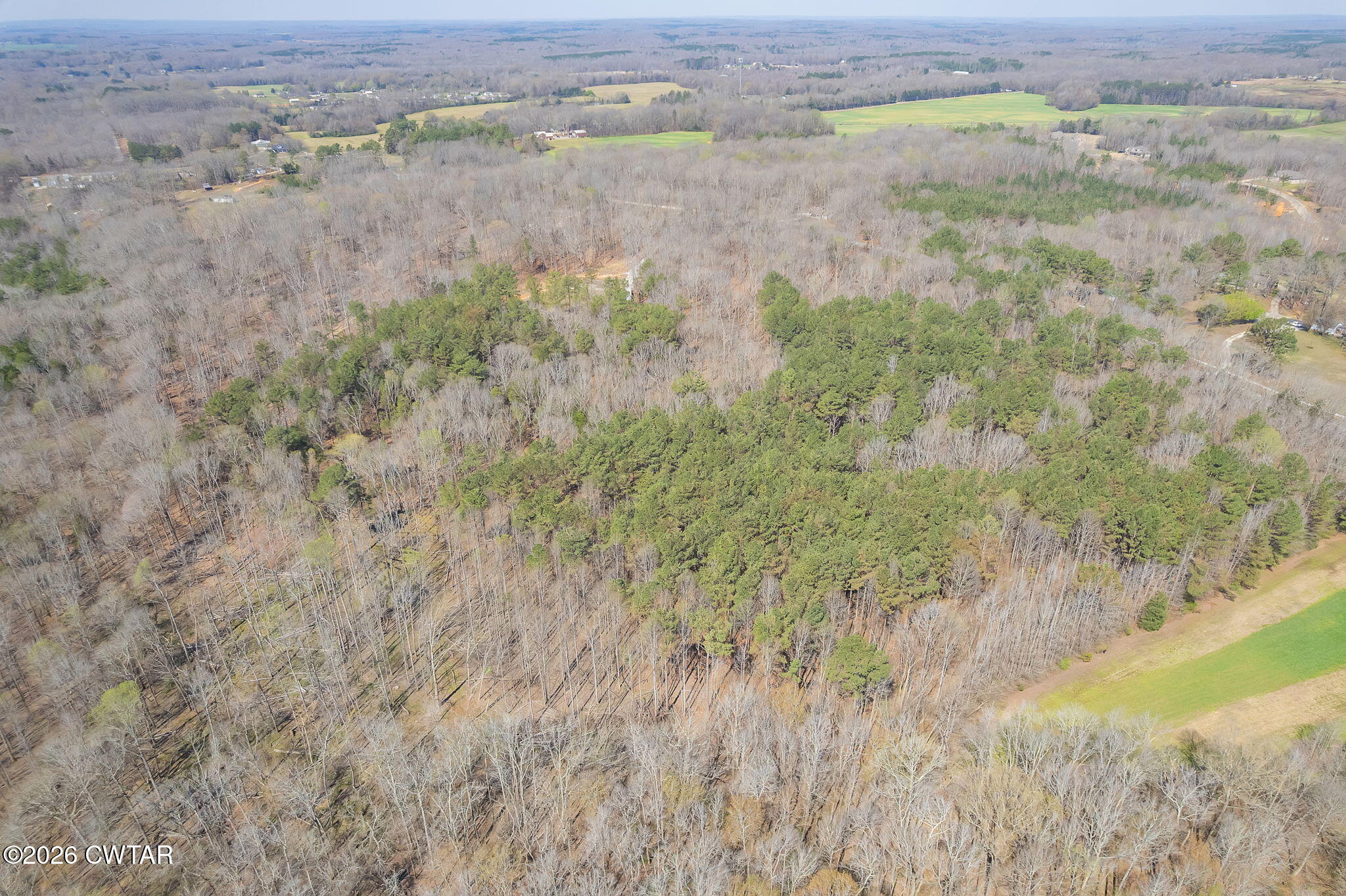 320 Peddy Vestal Loop