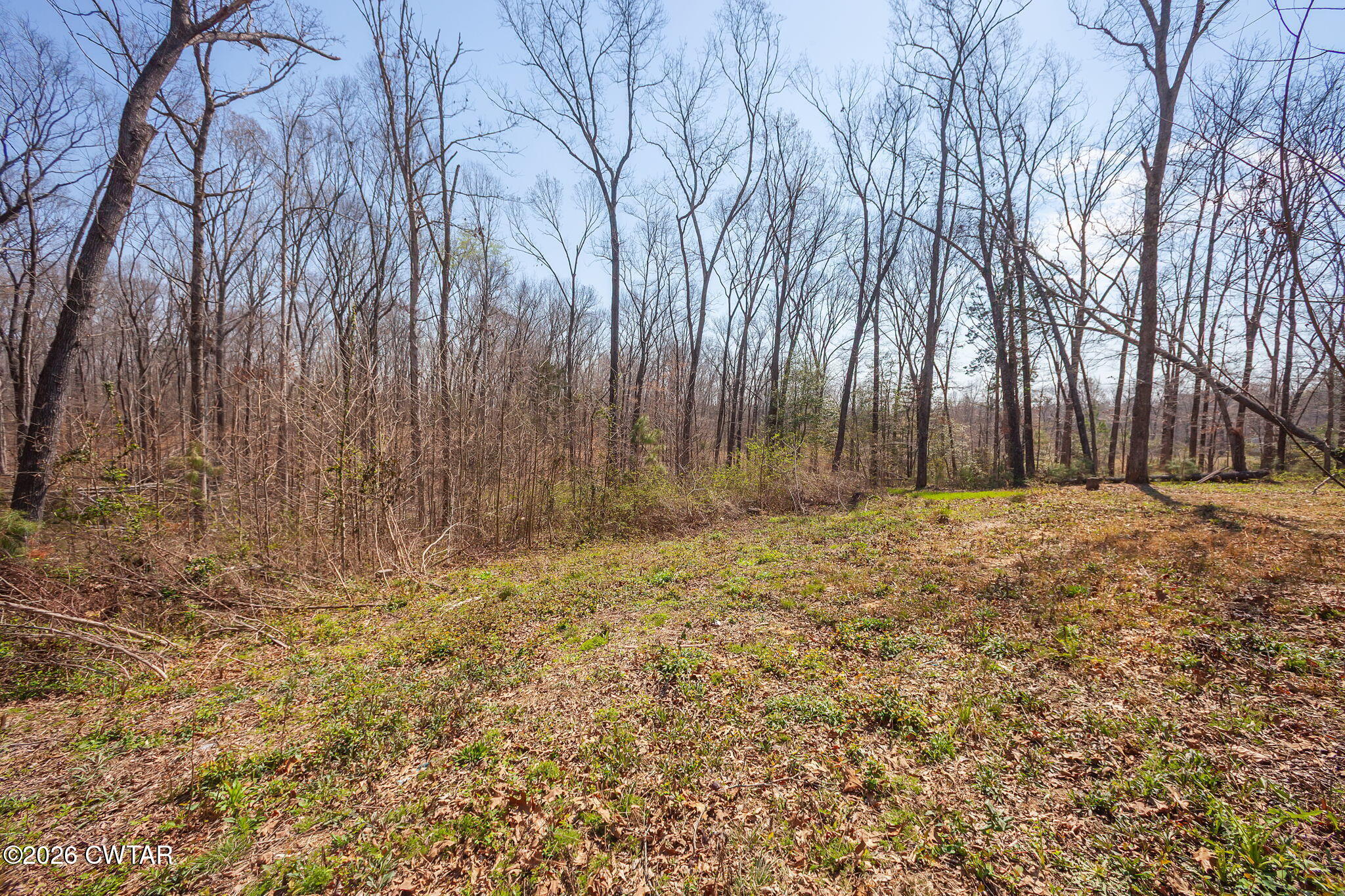 80 Peddy Vestal Loop