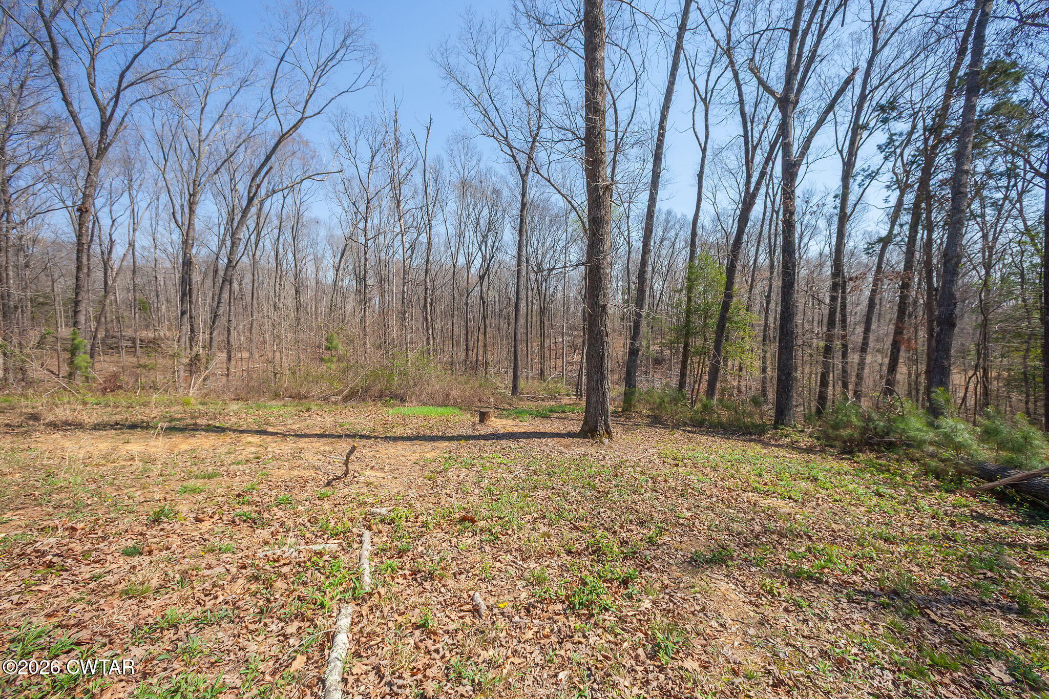 80 Peddy Vestal Loop