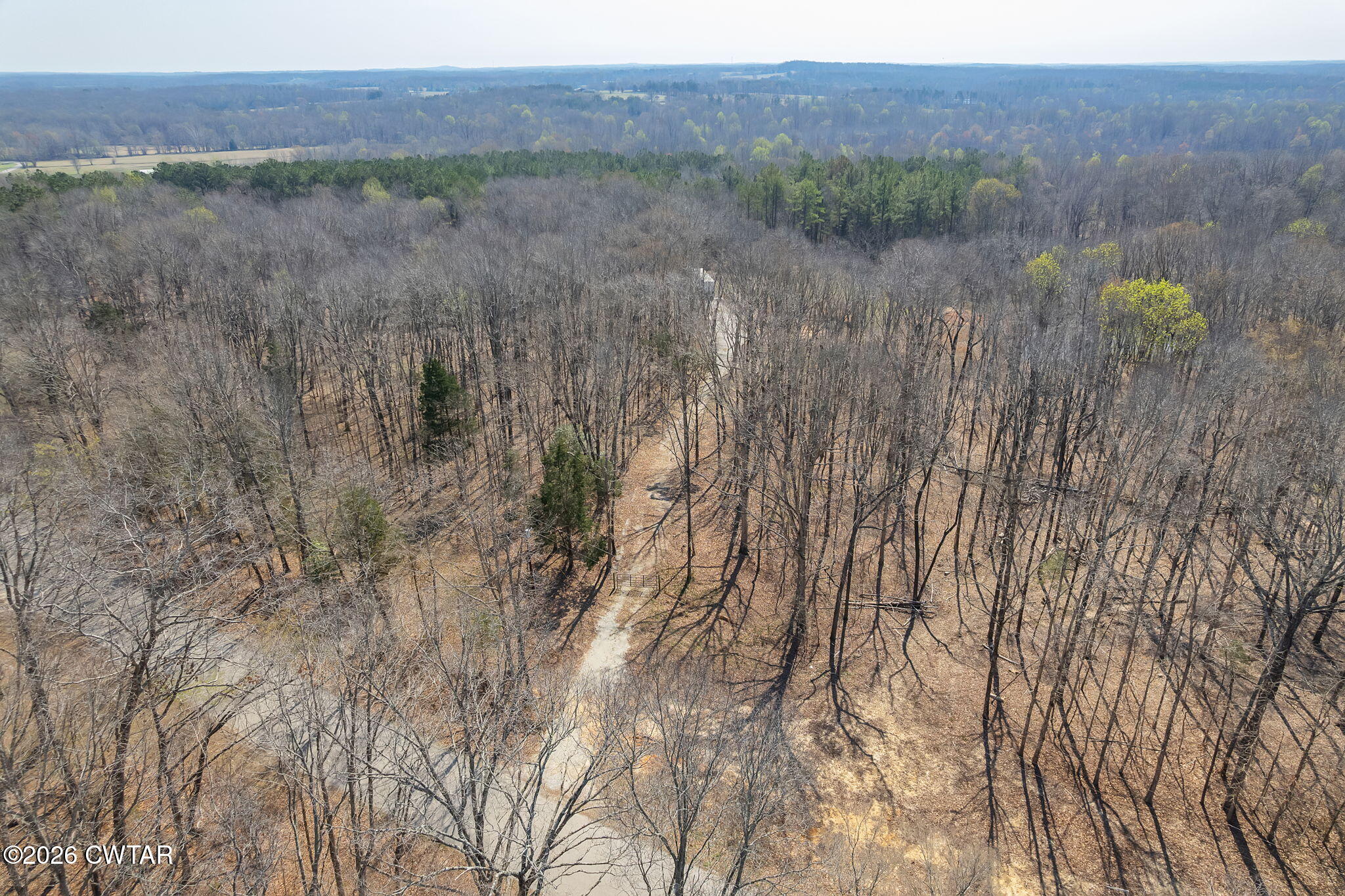 320 Peddy Vestal Loop