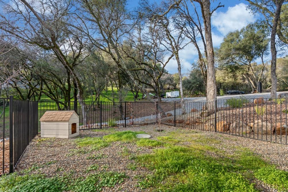 3639 Four Springs Drive