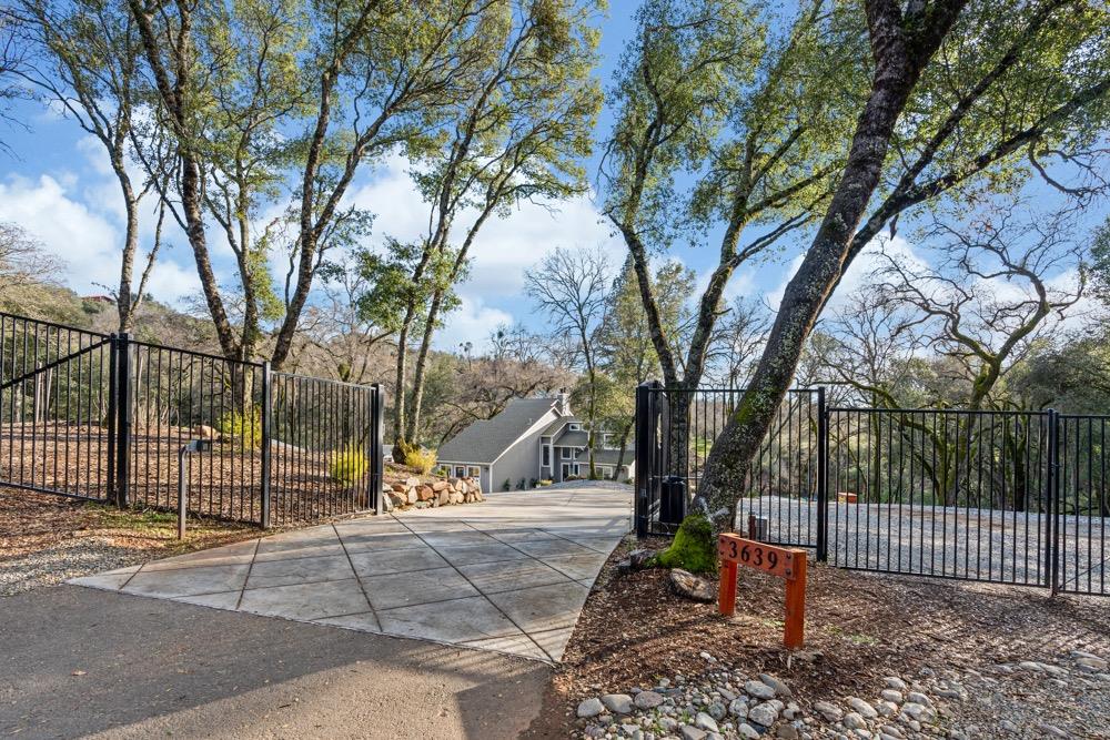 3639 Four Springs Drive