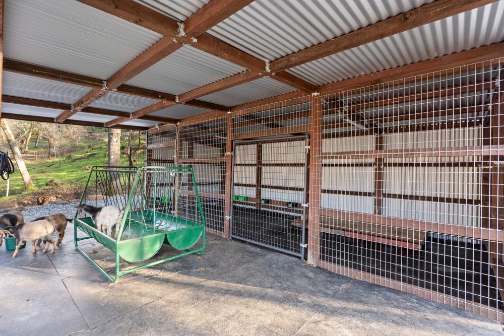 3639 Four Springs Drive