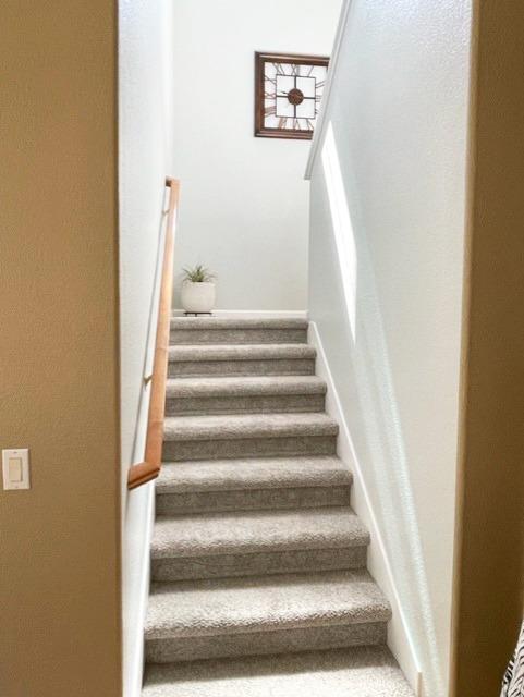 3541 Maddiewood Circle