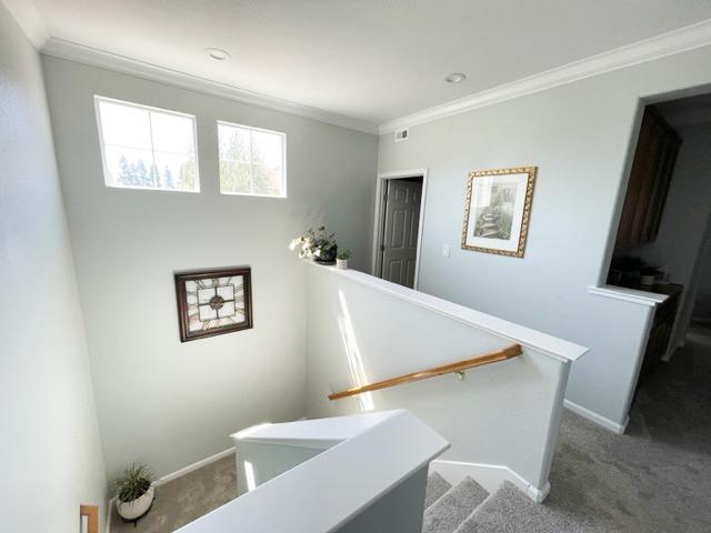 3541 Maddiewood Circle