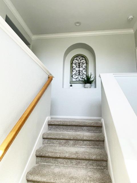 3541 Maddiewood Circle