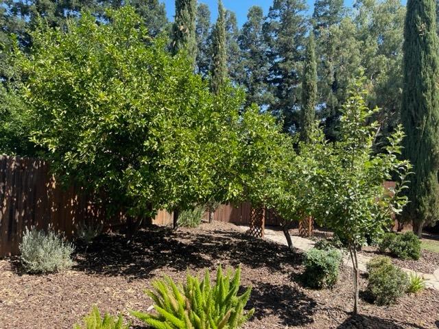 3541 Maddiewood Circle