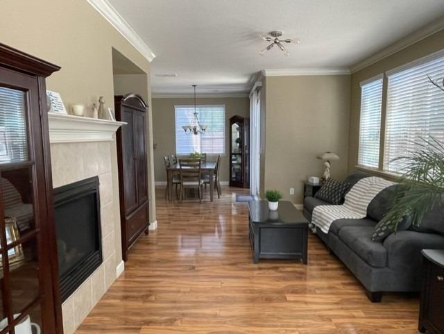 3541 Maddiewood Circle