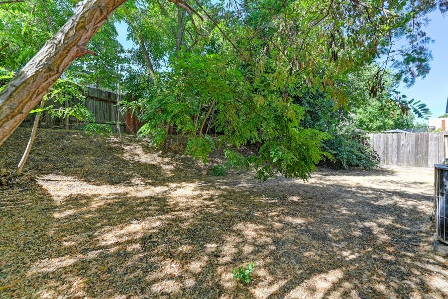 3716 Pine Hollow Way