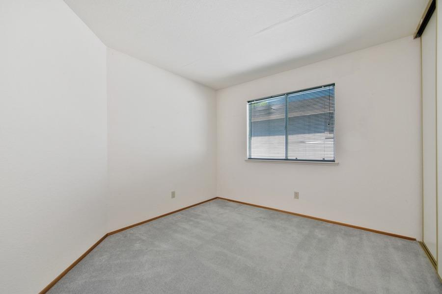 3716 Pine Hollow Way