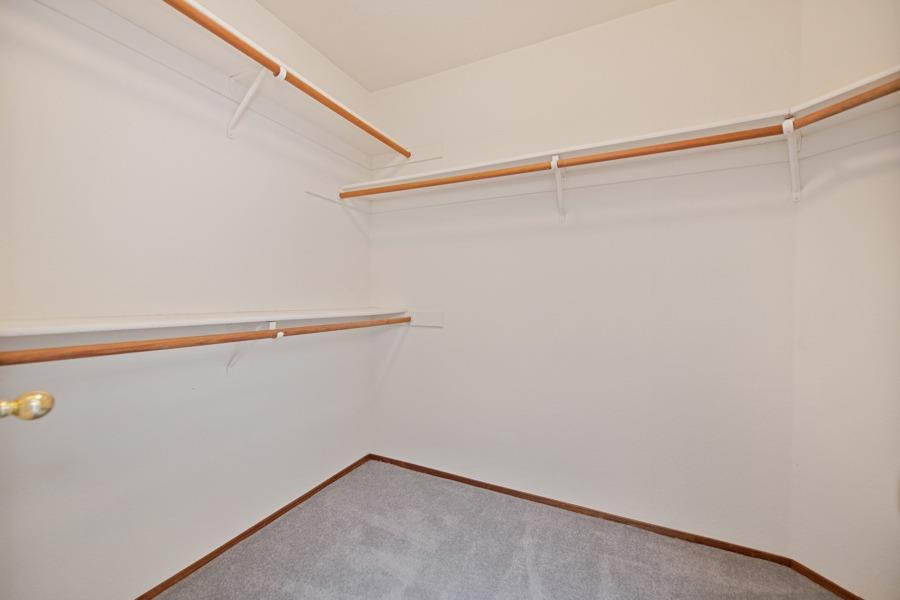 3716 Pine Hollow Way