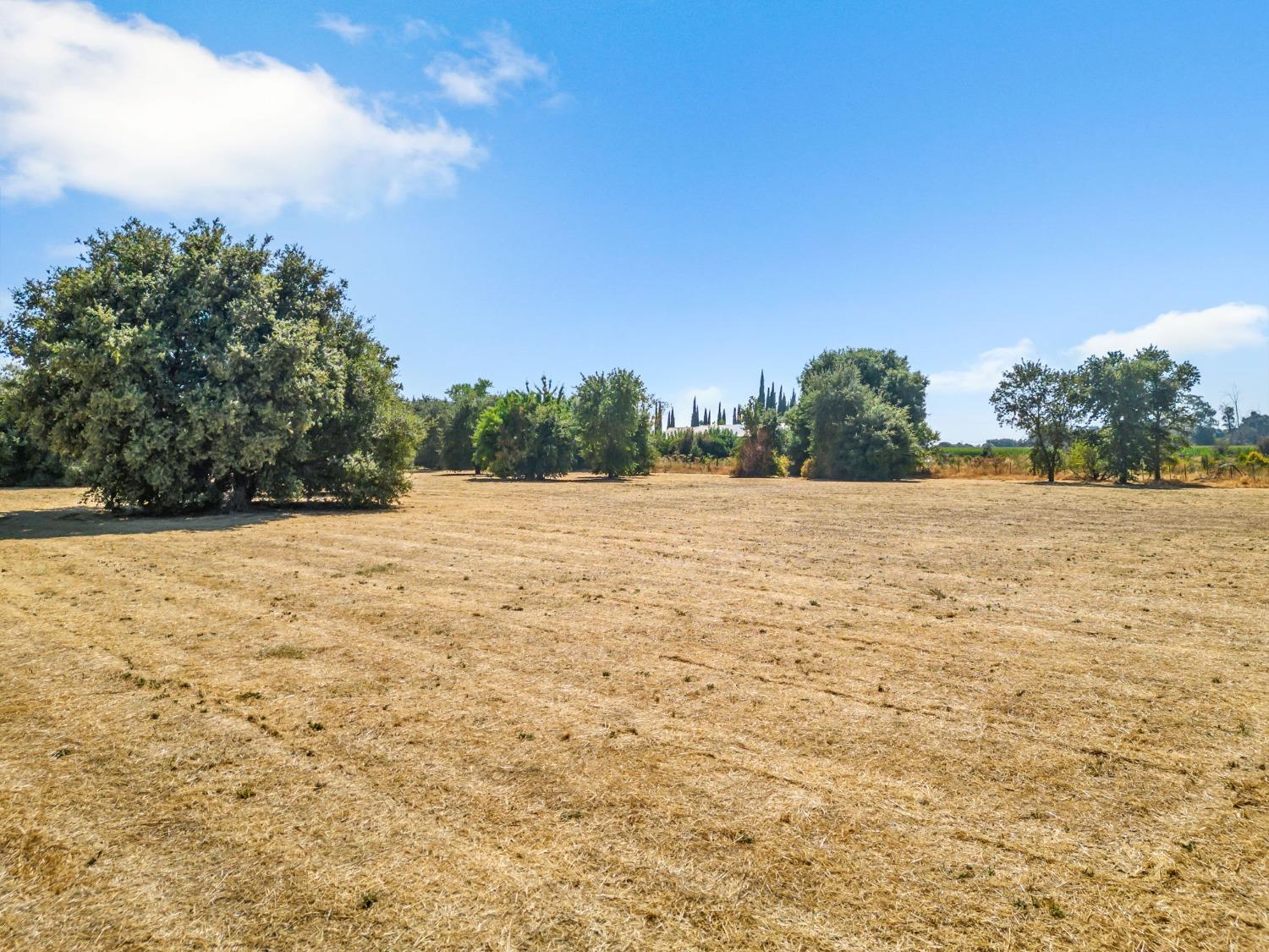 14180 Adam S Gibson Lane