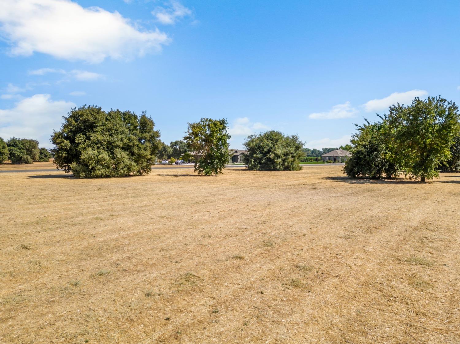 14180 Adam S Gibson Lane