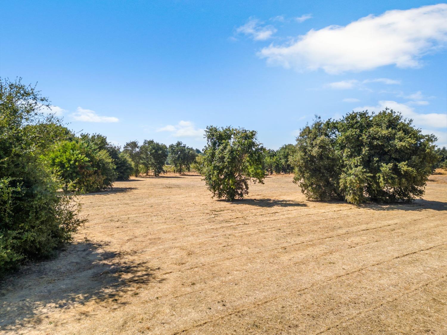 14180 Adam S Gibson Lane