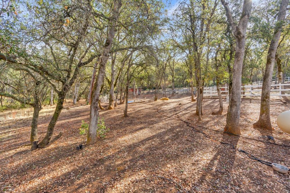 4940 Grandview Court