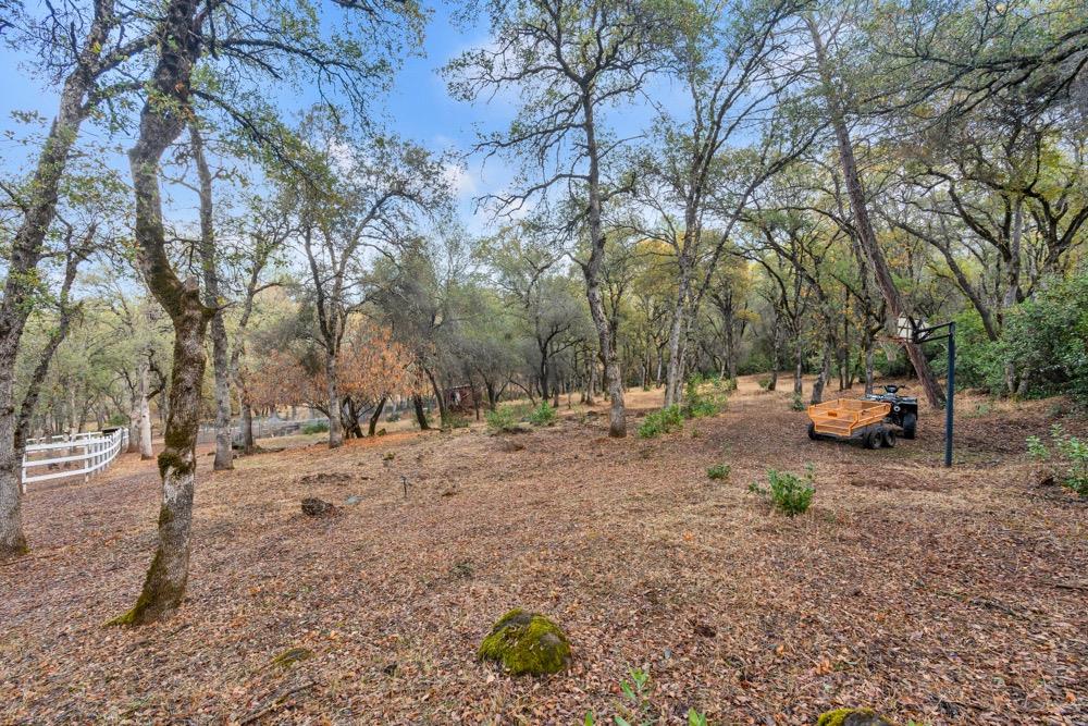 4940 Grandview Court