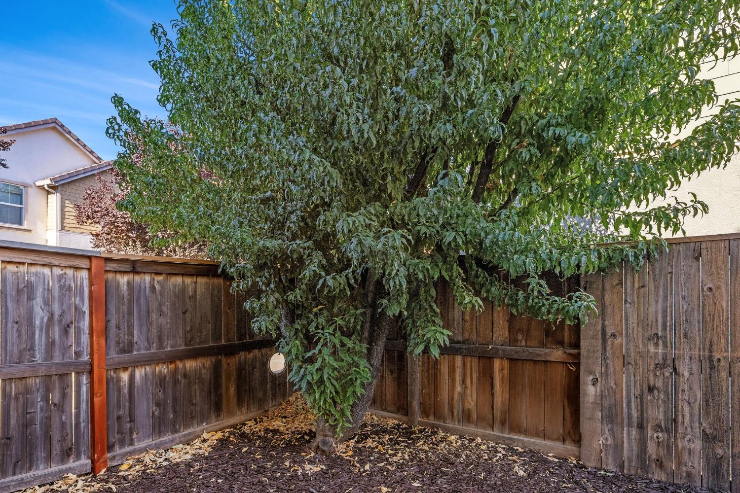 20865 Grapevine Drive