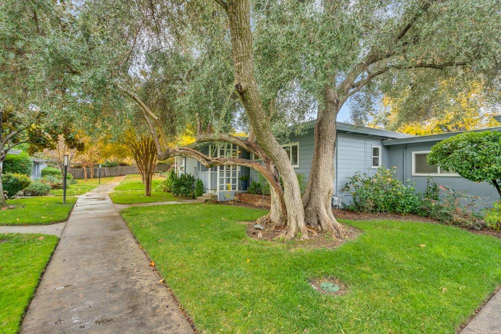 2807 Santa Paula Court