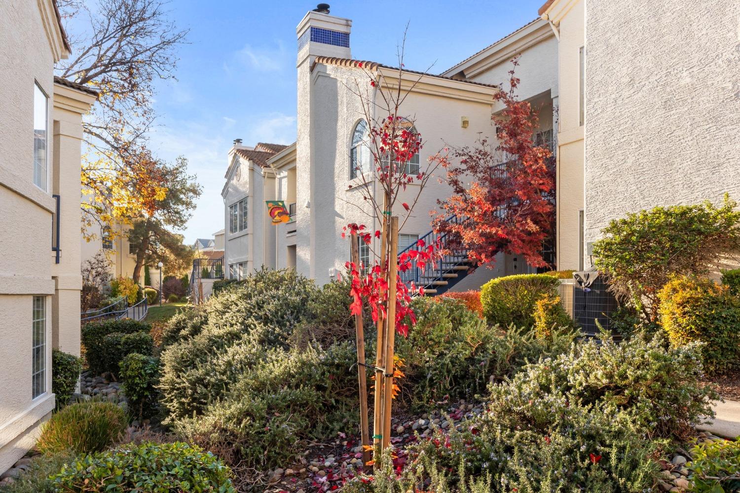 403 Beachcomber Drive 1020