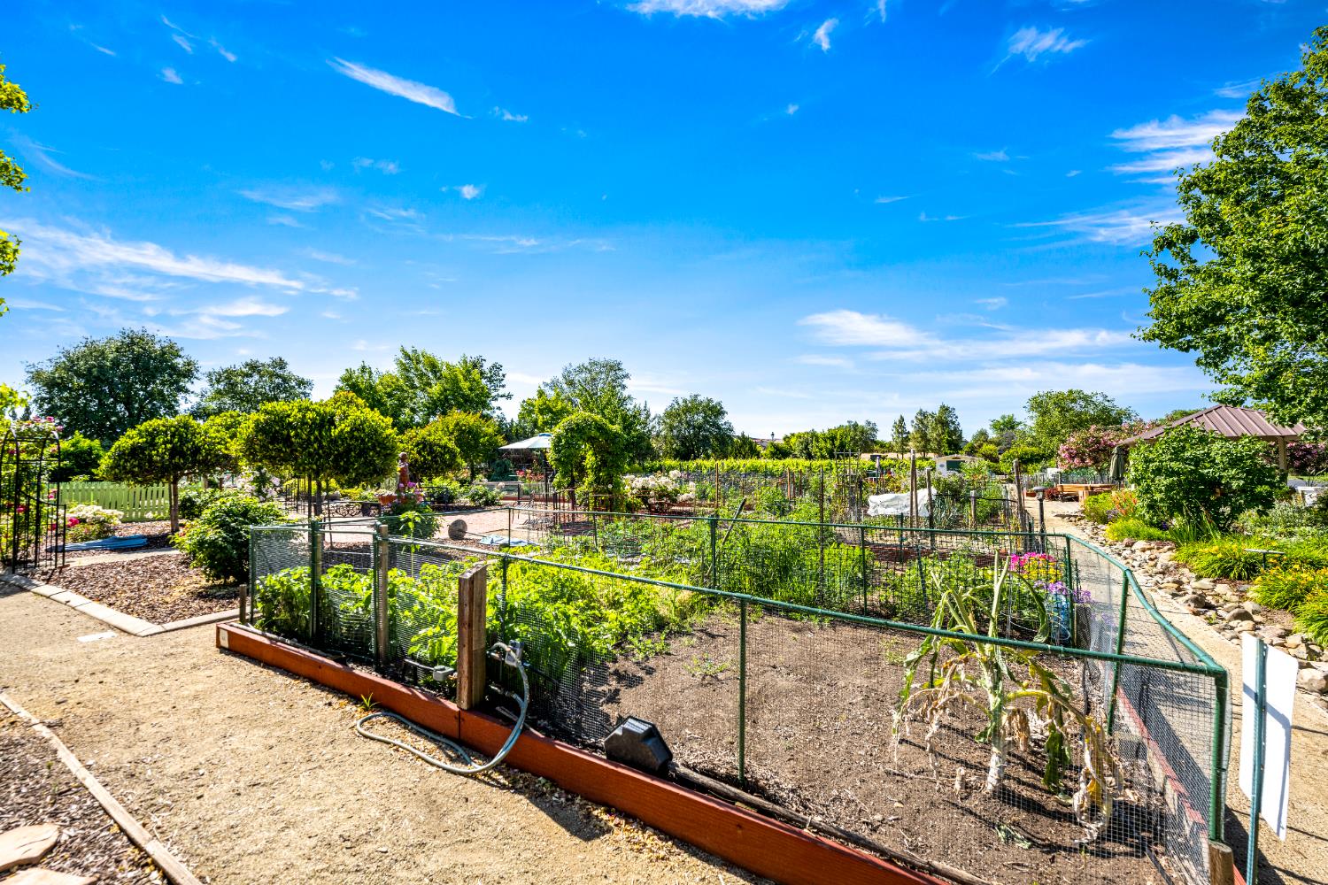 7473 Grassy Creek Way