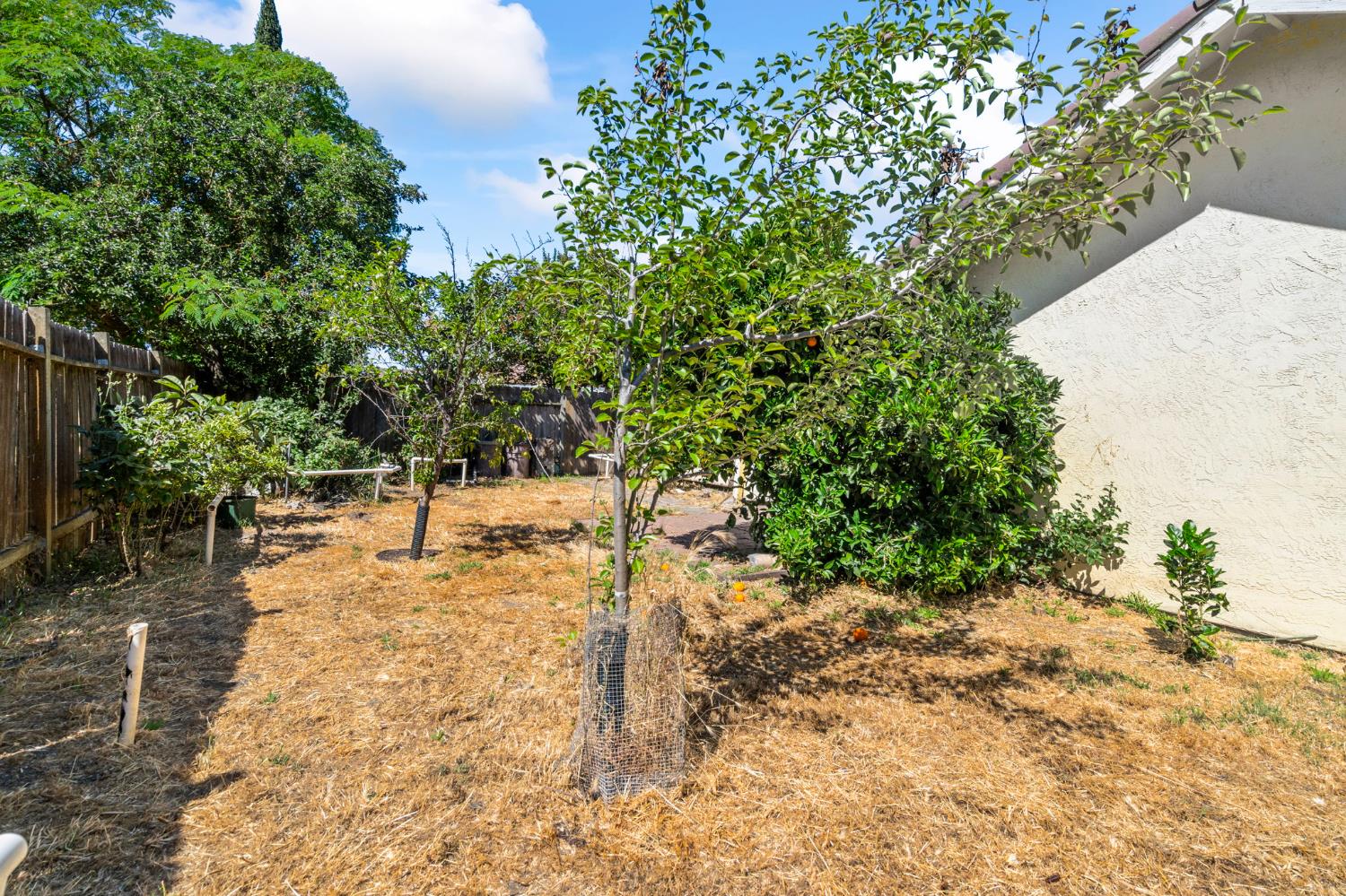 2220 Atchenson Street