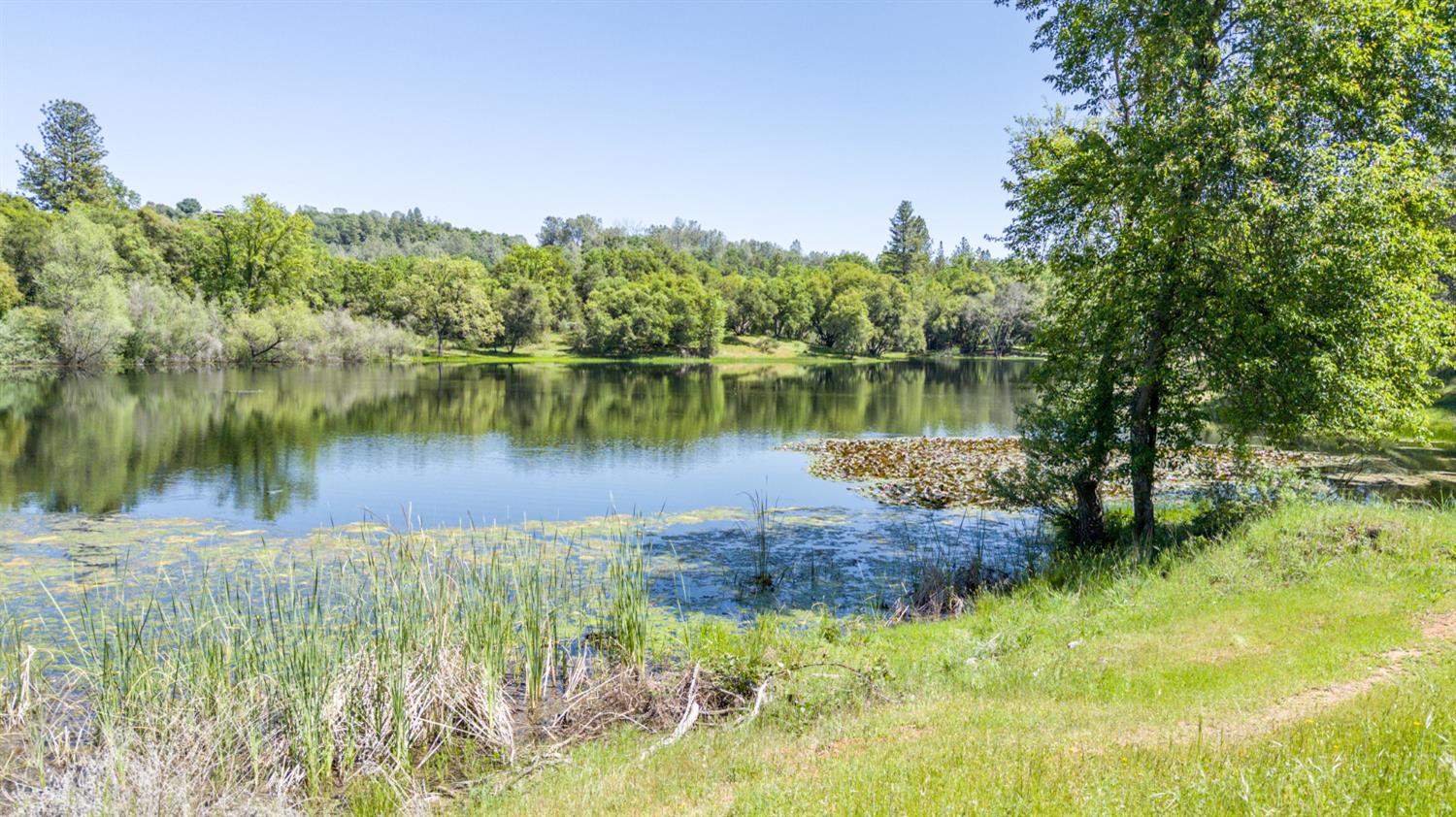 2611 Golden Fawn Trail