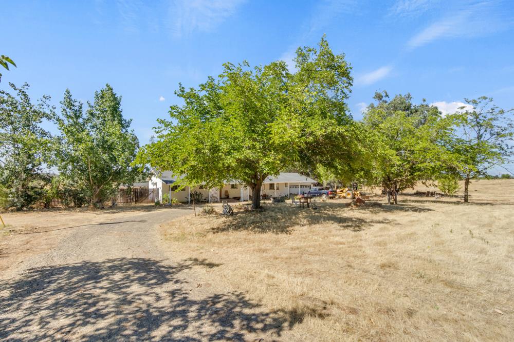 7494 Meadowlark Lane