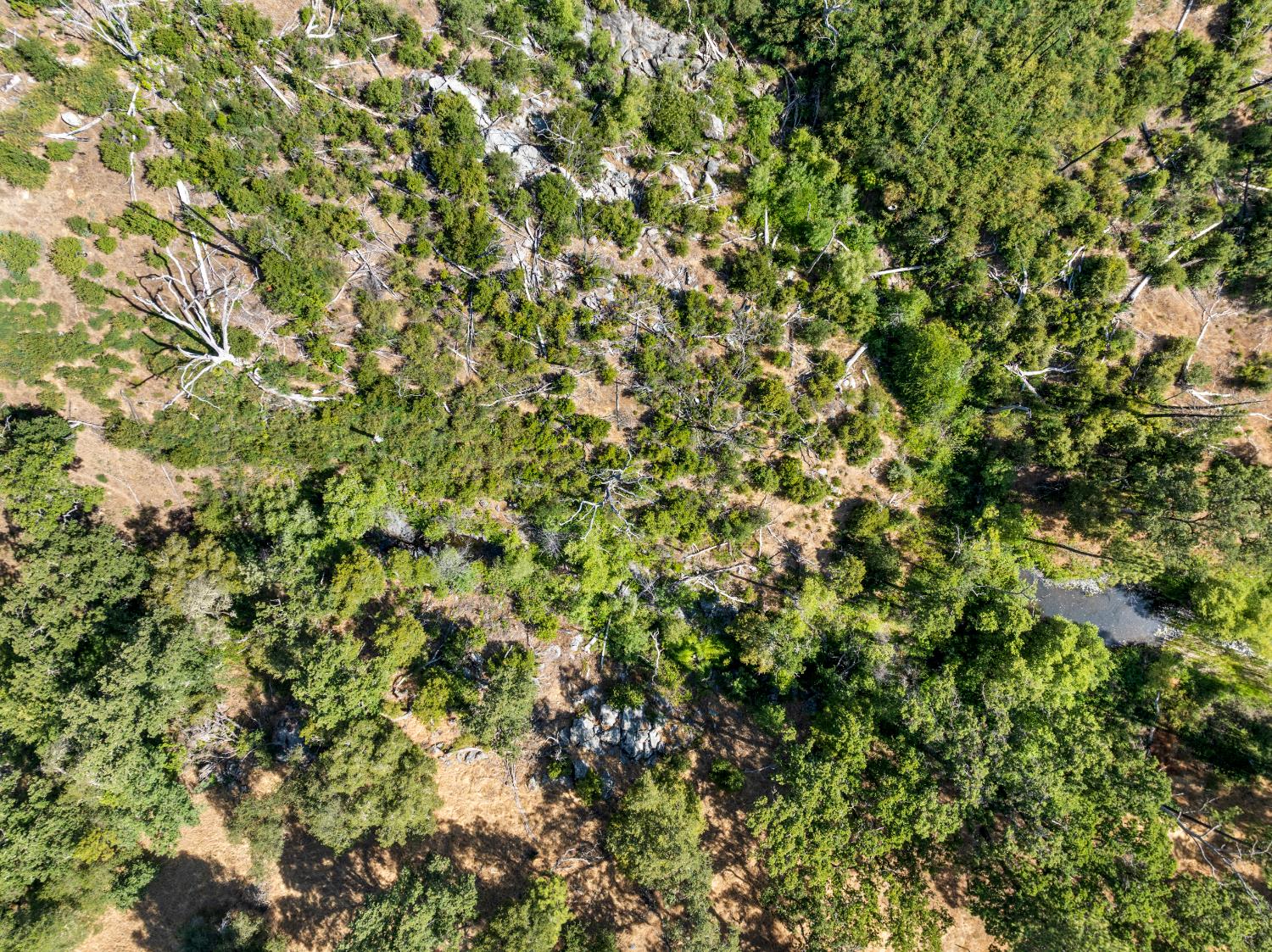 2162 Painted Pony Road