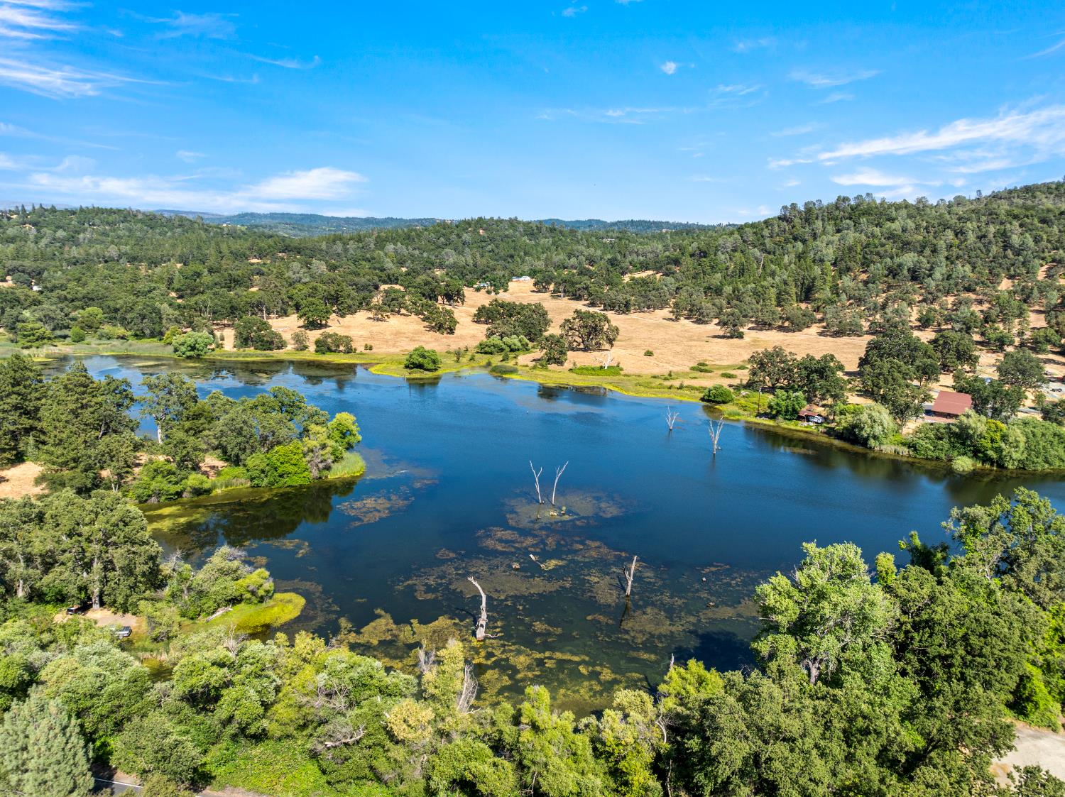 2162 Painted Pony Road
