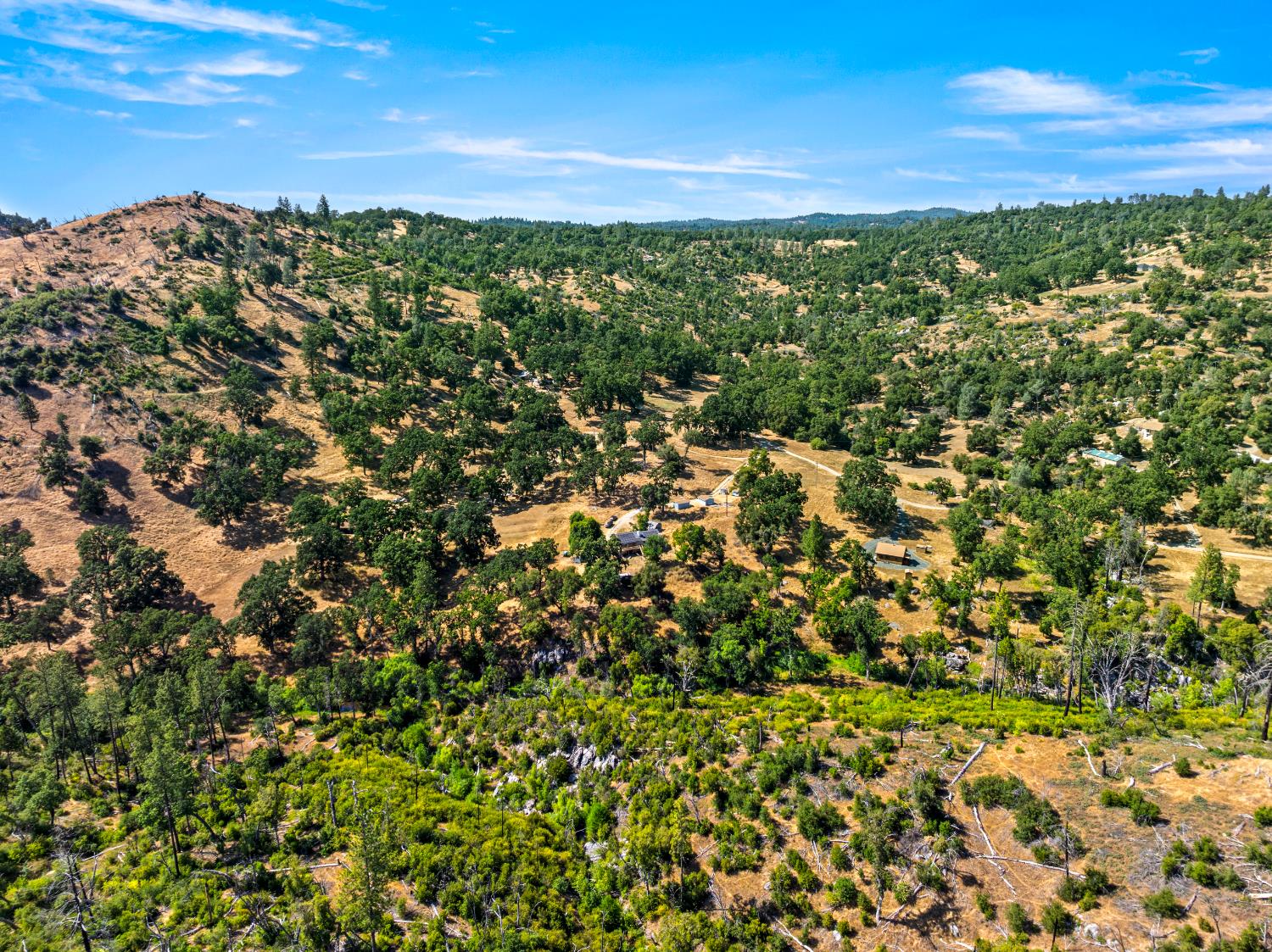 2162 Painted Pony Road