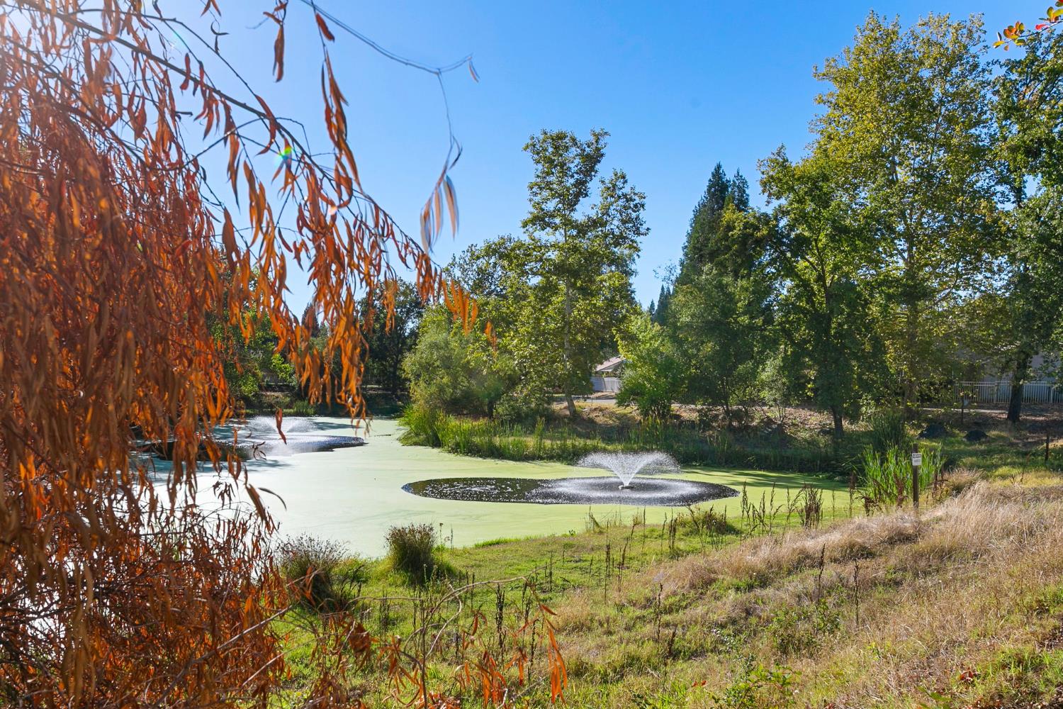 15190 Celebrar Street