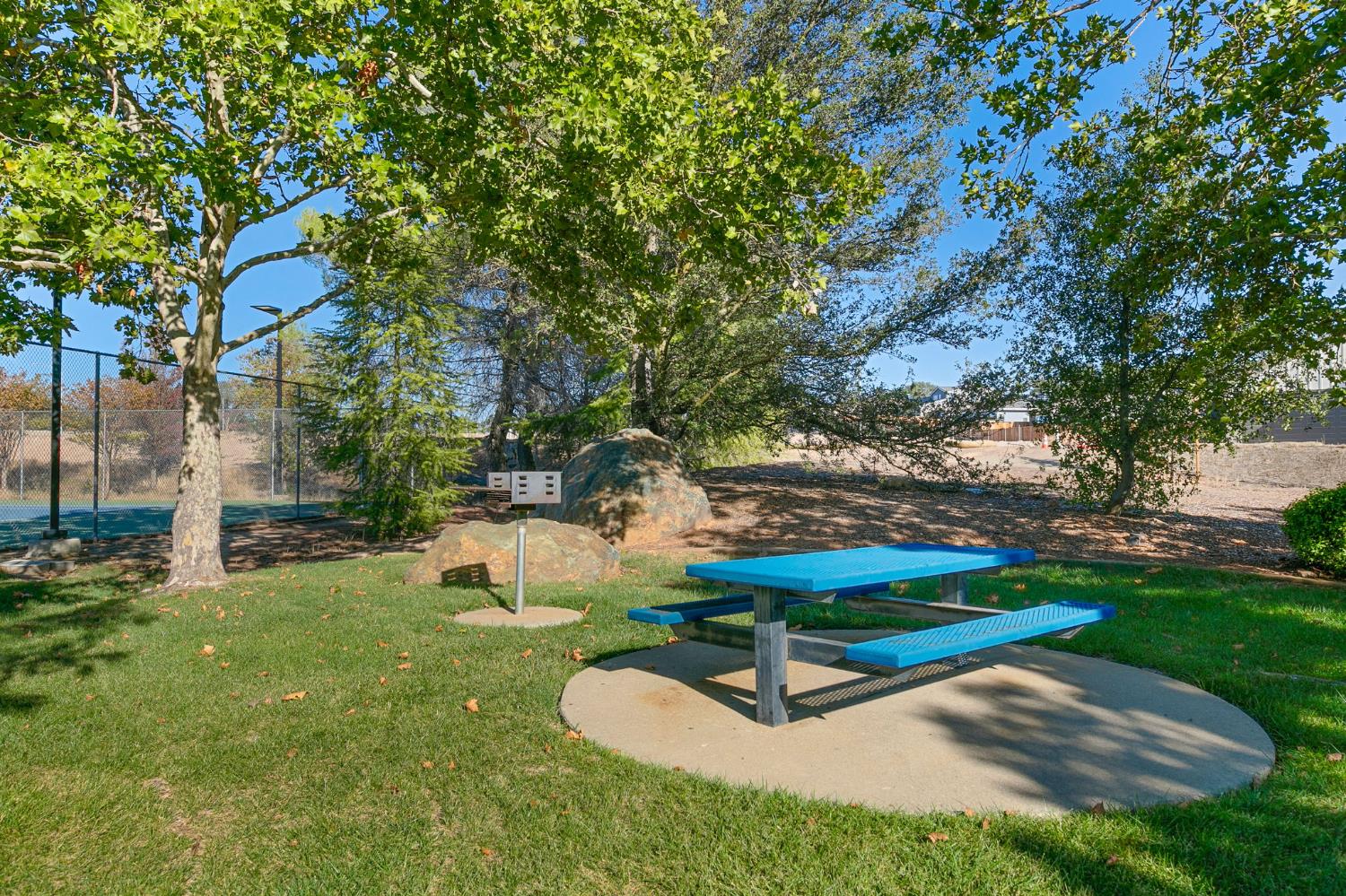 15190 Celebrar Street