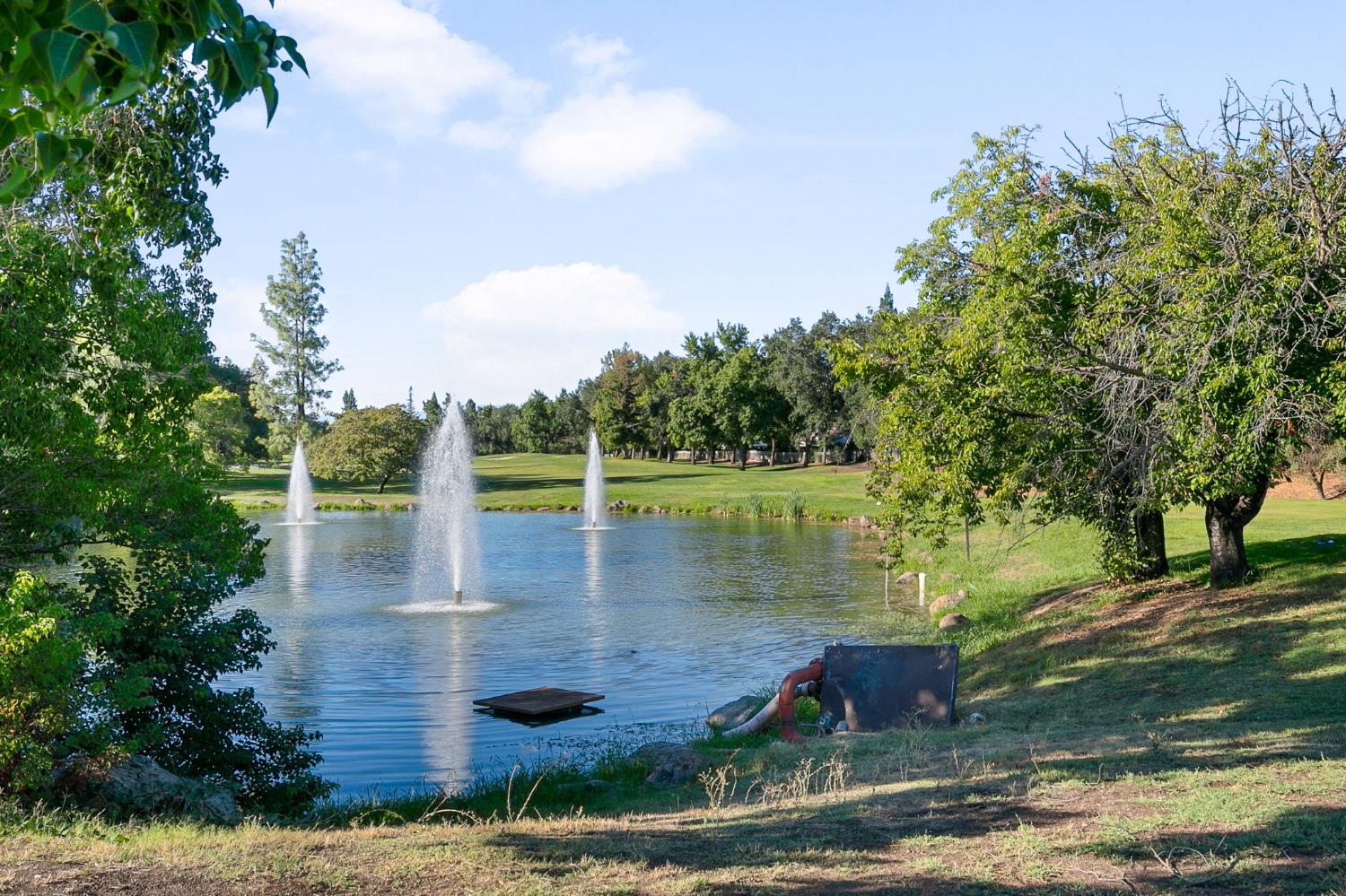 15190 Celebrar Street