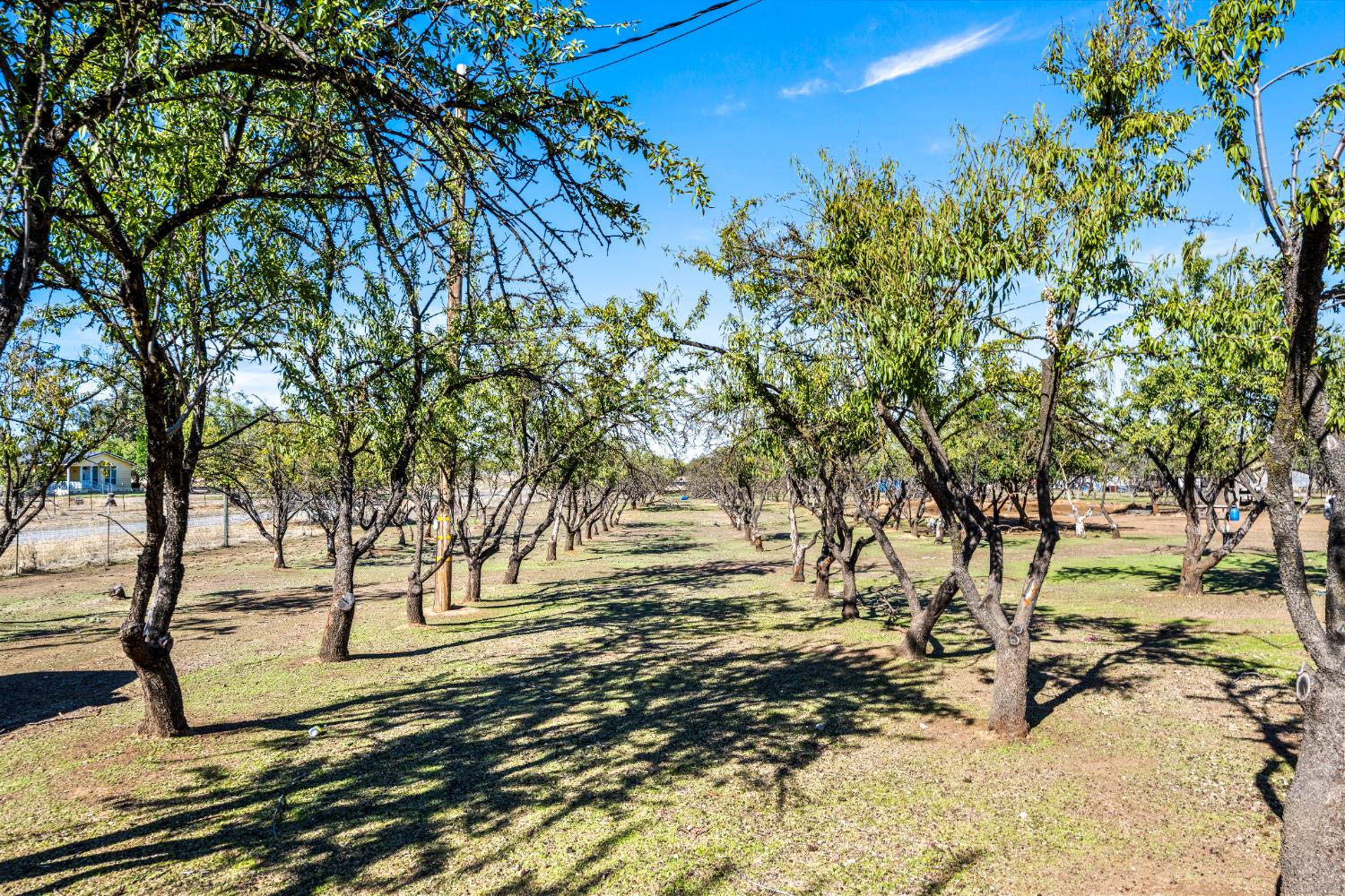 6581 Wisconsin Avenue