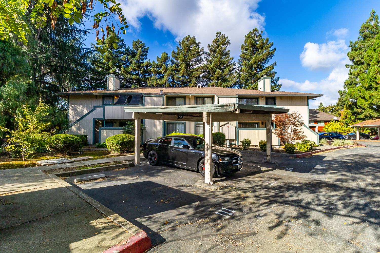 2623 Copa Del Oro Drive