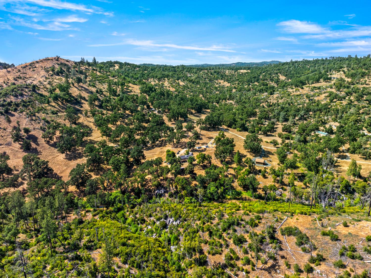 2162 Painted Pony Road