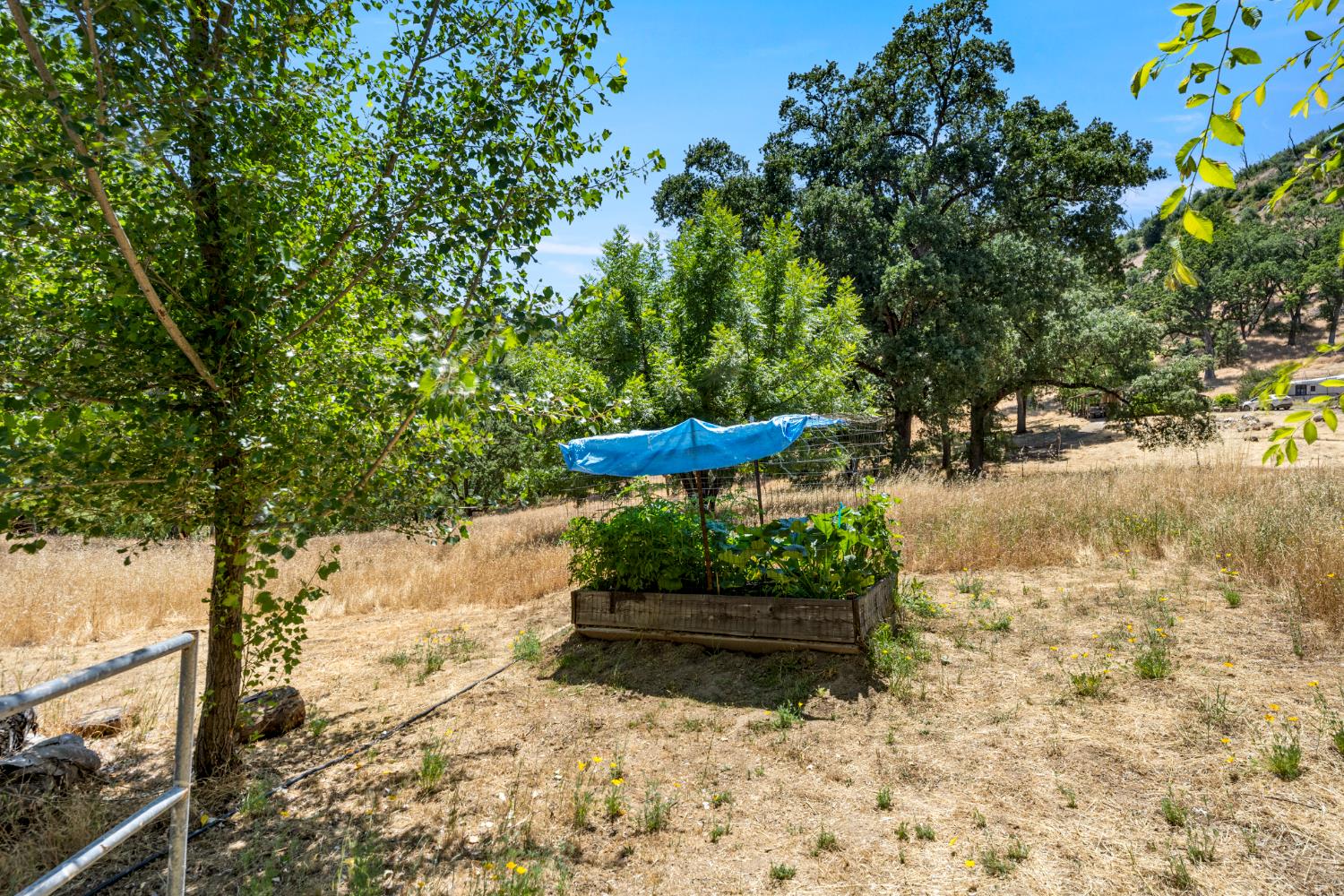 2162 Painted Pony Road