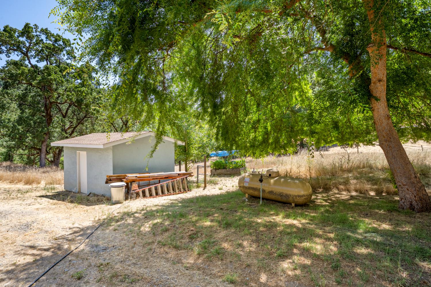2162 Painted Pony Road