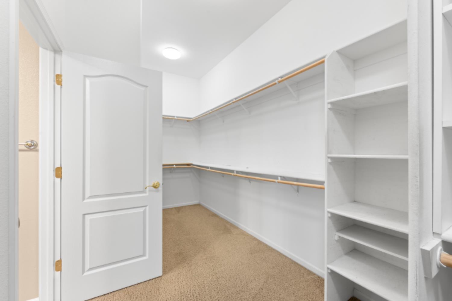 313 Nature Walk Court