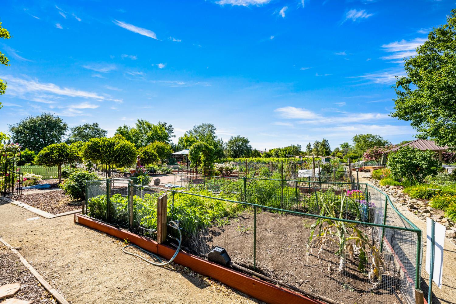 313 Nature Walk Court