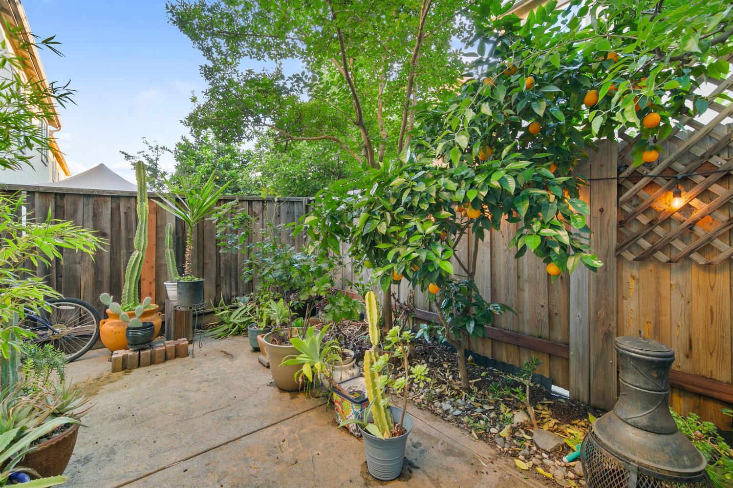 6 Mantauk Point Place