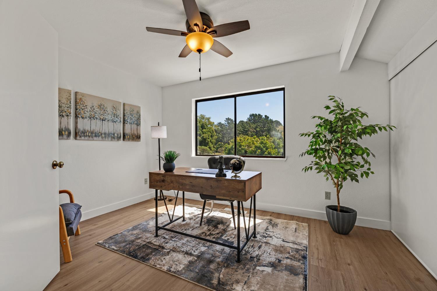 3656 Black Feather Drive
