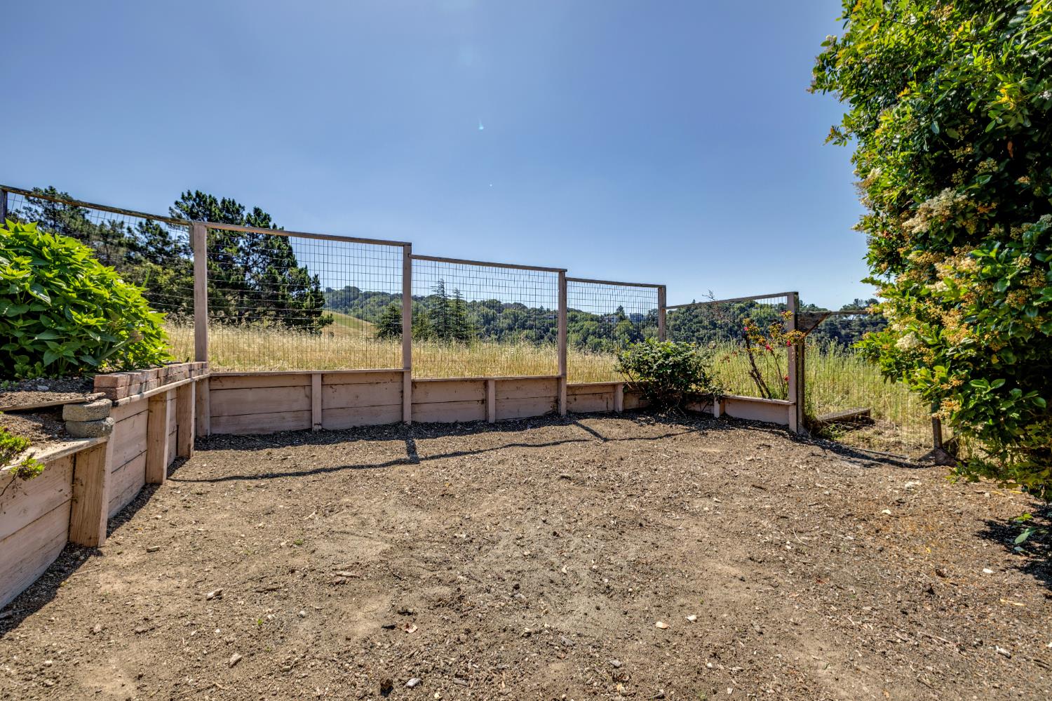 3656 Black Feather Drive